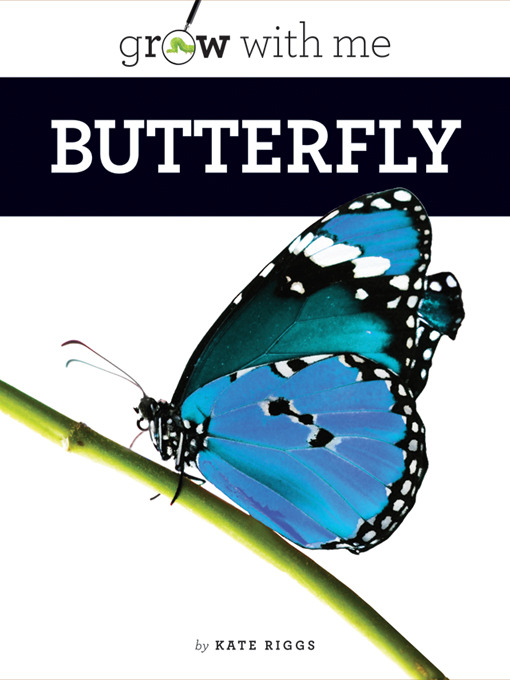 Title details for Butterfly by Kate Riggs - Available